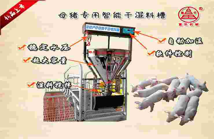 產床母豬智能干濕粥料喂料槽